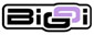bielizna BIGGI